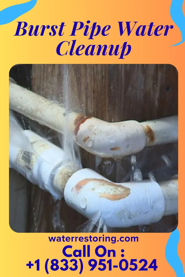 Burst Pipe Water Cleanup in Fairlee, MD