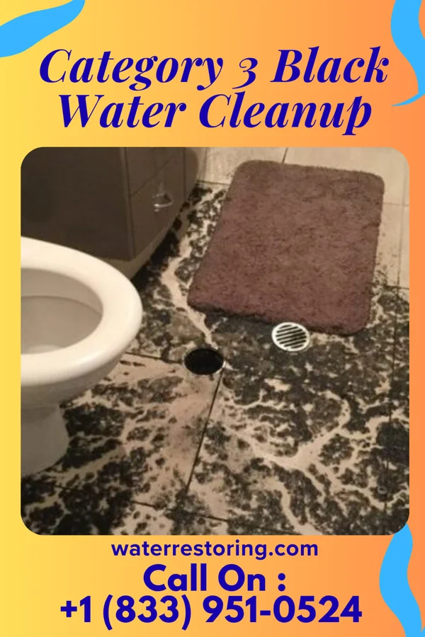 Category 3 Black Water Cleanup in Fairlee, MD