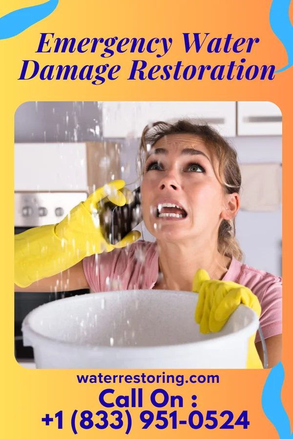 Emergency Water Damage Restoration in Fairlee, MD