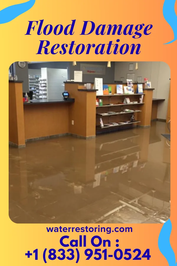 Flood Damage Restoration in Fairlee, MD