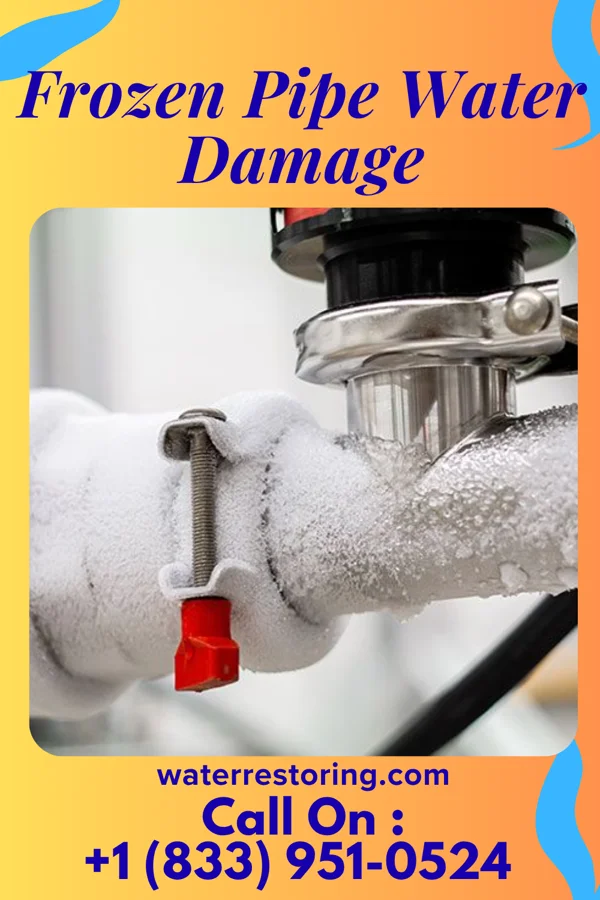 Frozen Pipe Water Damage in Fairlee, MD