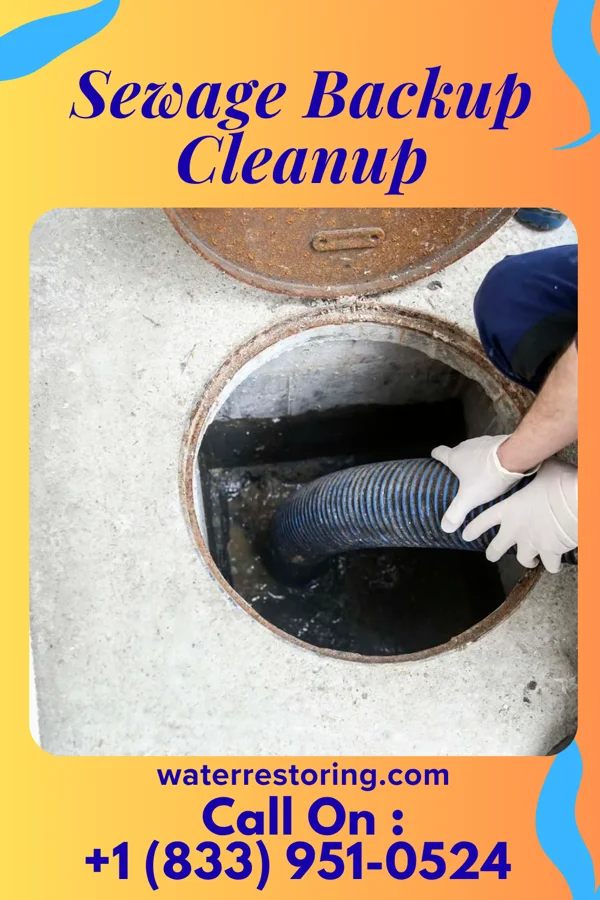 Sewage Backup Cleanup in Fairlee, MD
