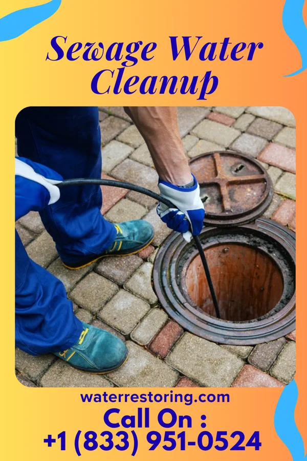 Sewage Water Cleanup in Fairlee, MD