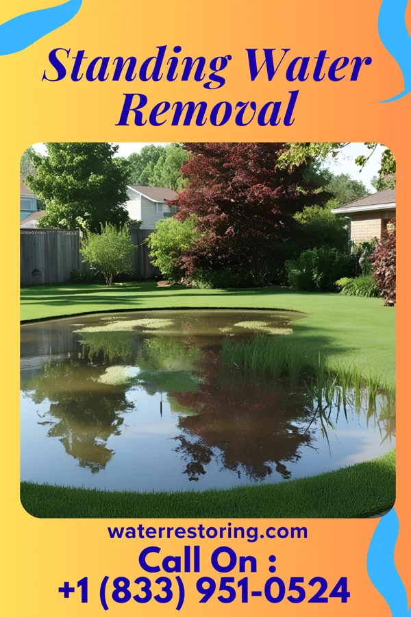 Standing Water Removal in Fairlee, MD